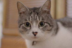 IMGP0165