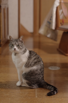 IMGP0190