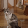 IMGP0190