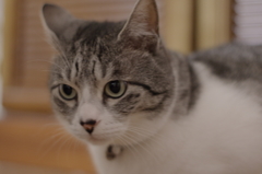 IMGP0164