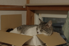 IMGP0112