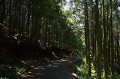 IMGP0045