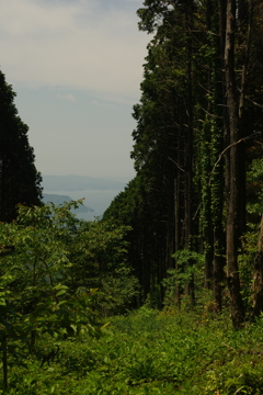 IMGP0039