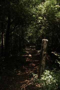 IMGP0040
