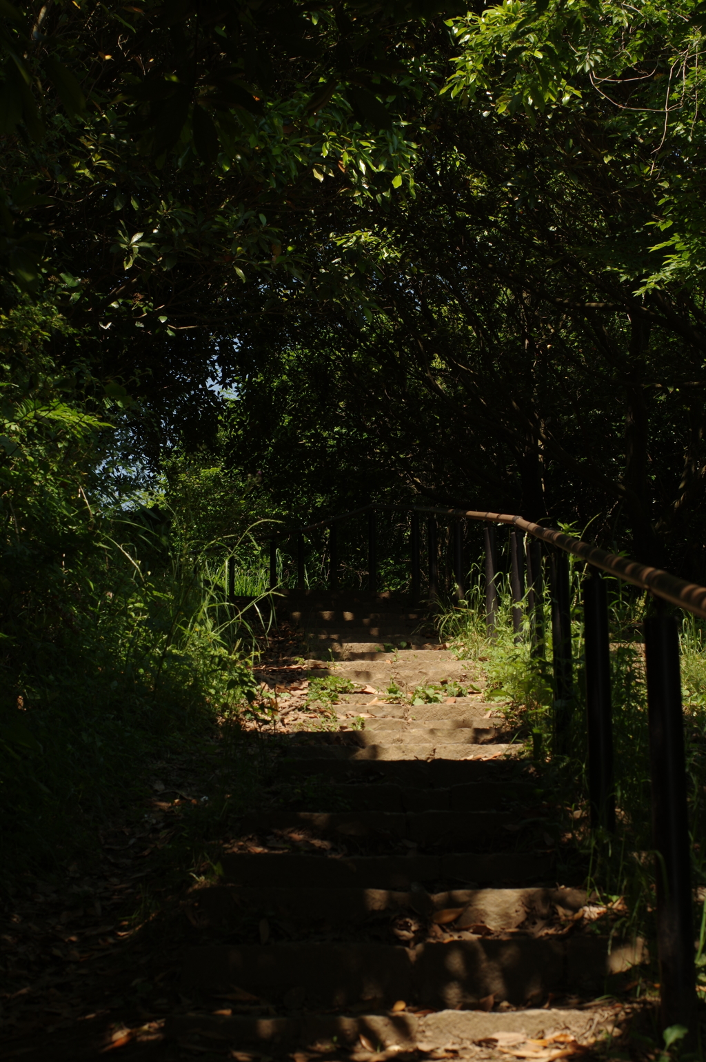 IMGP0064