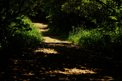 IMGP0059