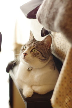 IMGP0206