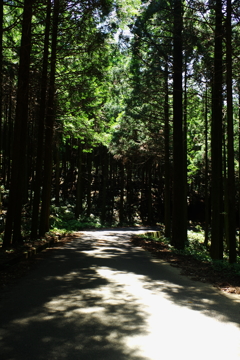 IMGP0047