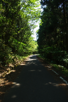 IMGP0034 (2)