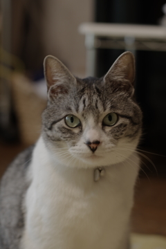IMGP0081