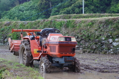IMGP0167