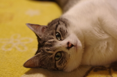 IMGP0192