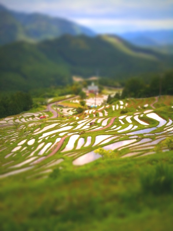 丸山千枚田2　TiltShiftGen