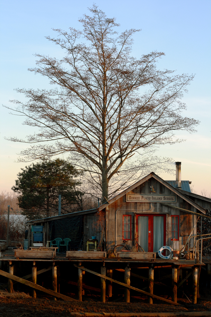 tiny school