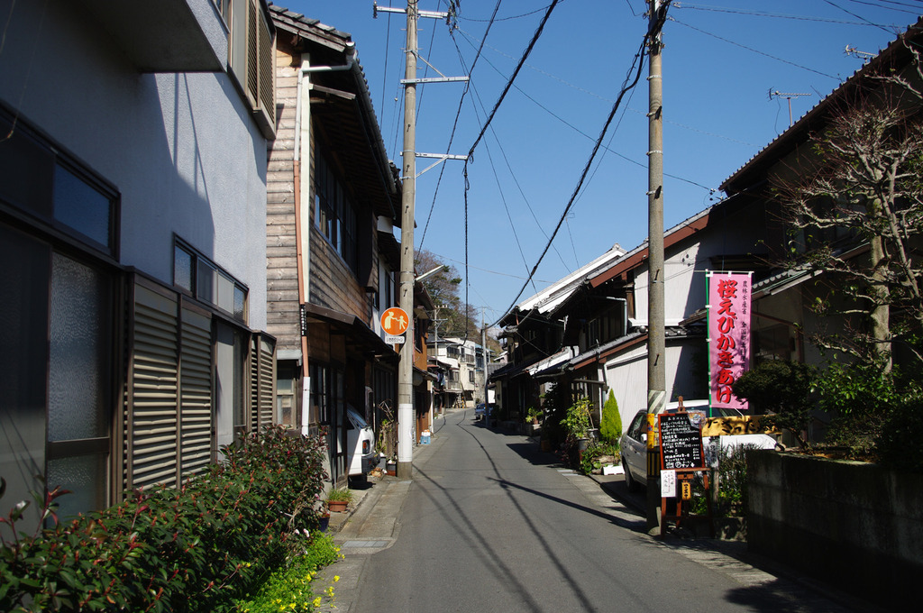 桜えび　由比