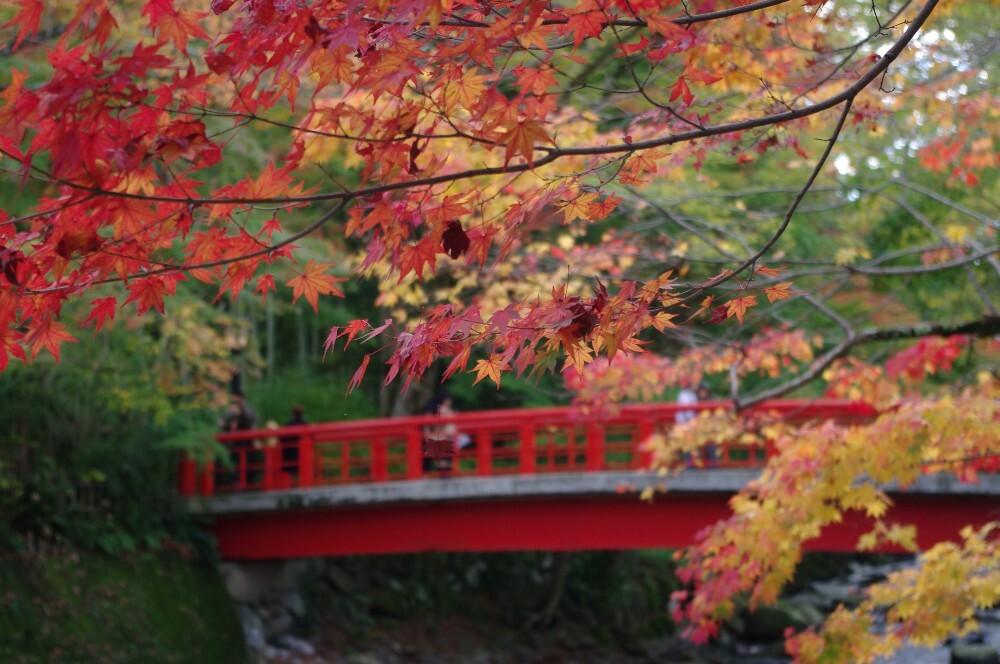 修善寺桂橋