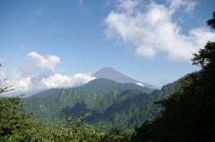 愛鷹山から富士を見下ろす