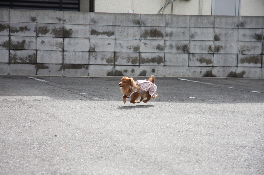 2015_03_08_3024
