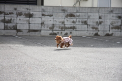 2015_03_08_3024