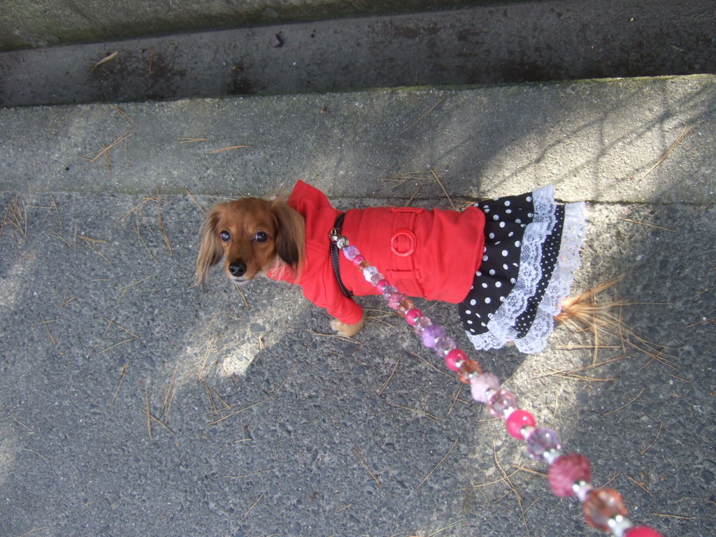 2011_11220001