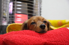 2011_03_27_9176