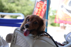 2011_07_10_大阪城