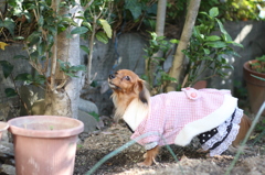 2011_12_11_庭