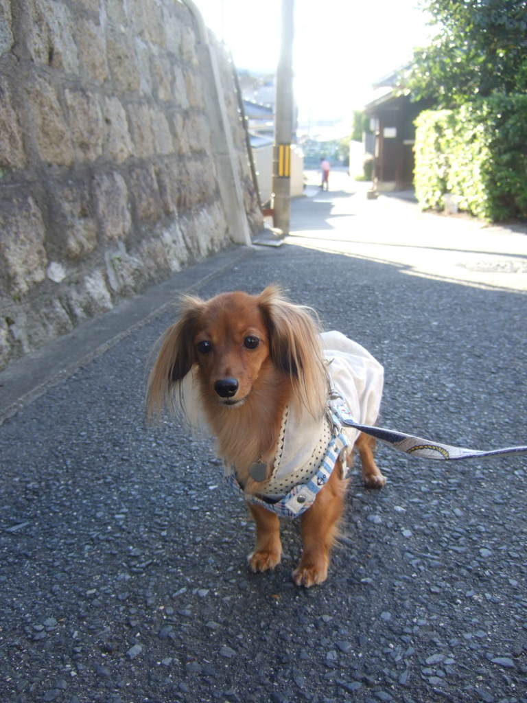 2011_10040020