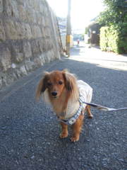 2011_10040020