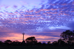 夕景