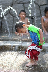 splash