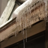 雪国といえば...