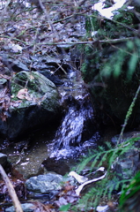 高尾山3