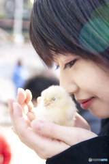 野毛山動物園 / 岬恵麻