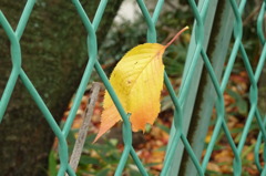 P1000119