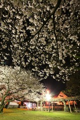 IMG_1375