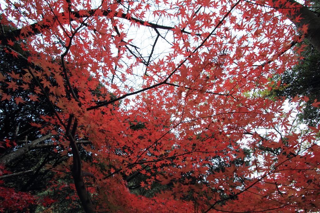 轟の神社２