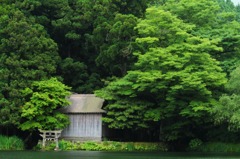 金鱗湖