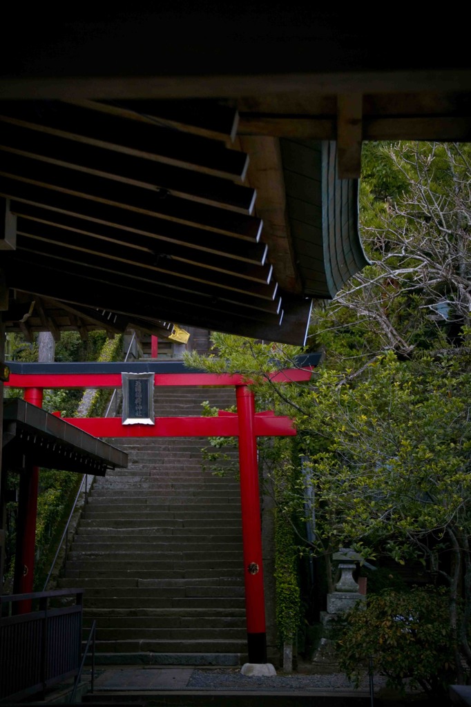 朱