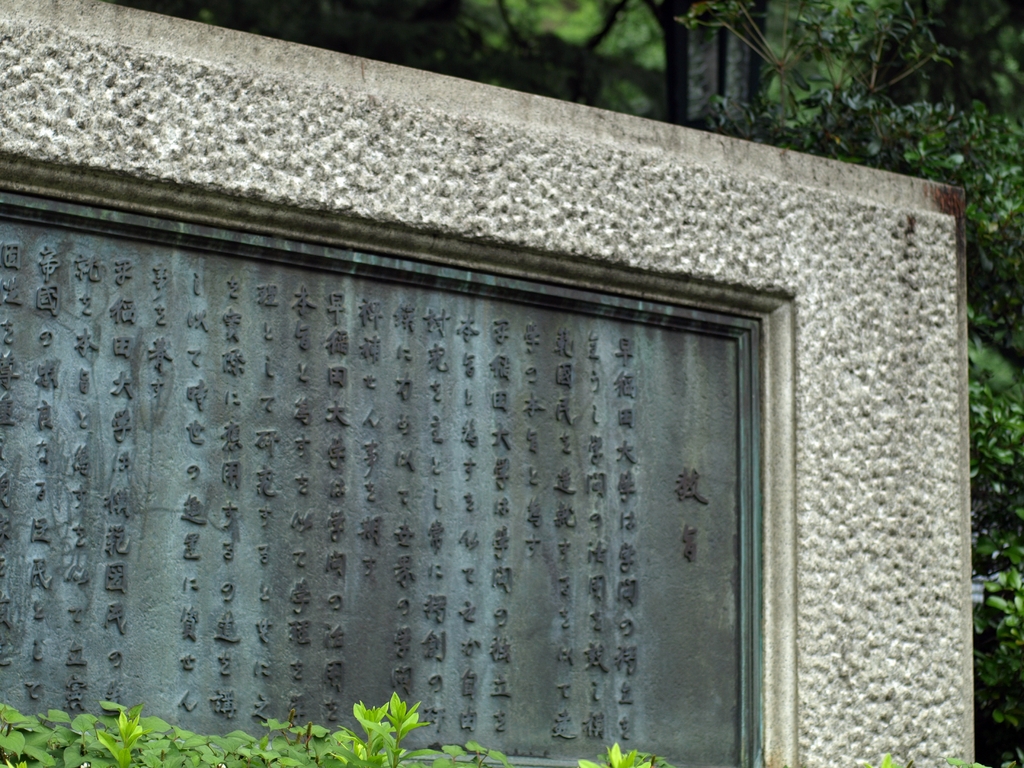 P7013951
