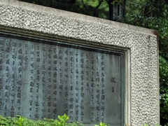 P7013951