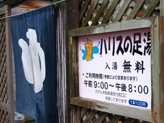 P7234278