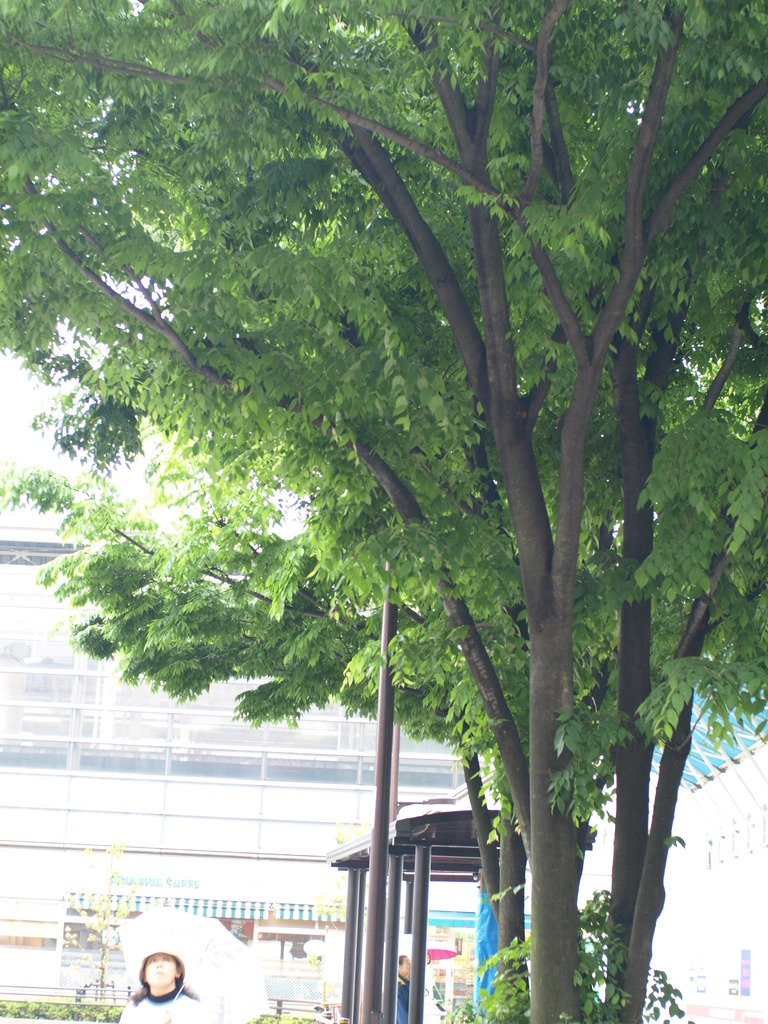 P5073391
