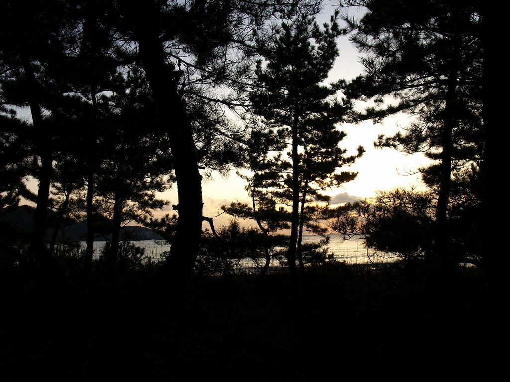 PC016065