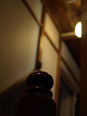 P5133456