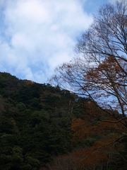 PC016136