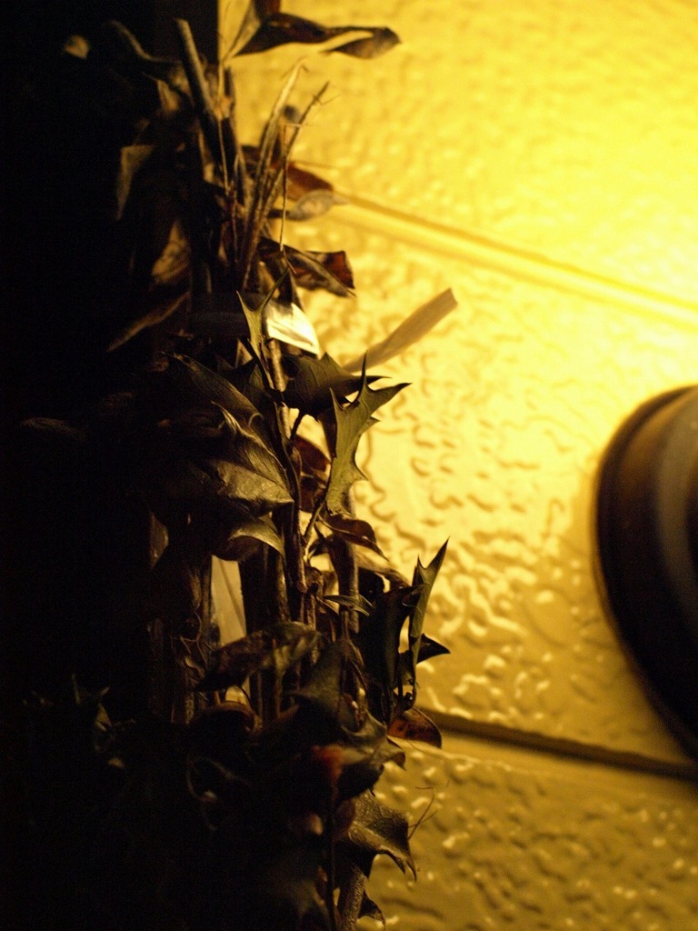 P2036787