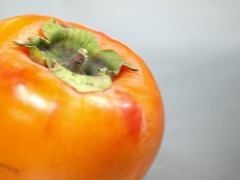 PB025789
