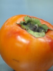 PB025787