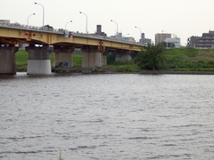 P8184529